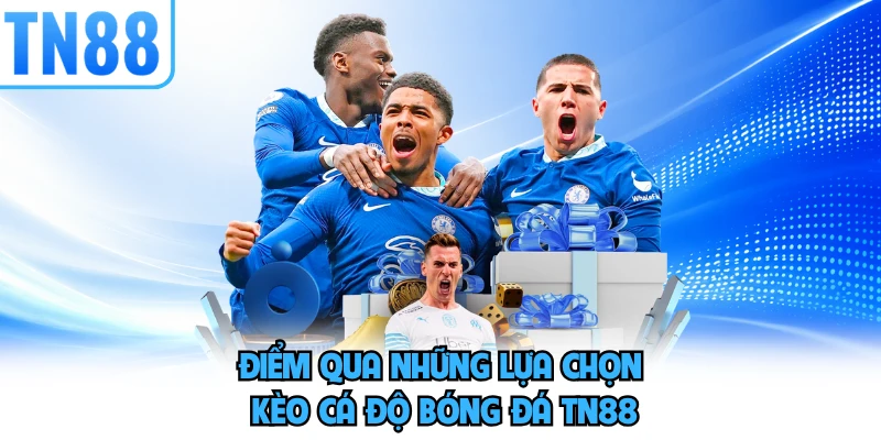 Điểm qua những lựa chọn kèo cá độ bóng đá TN88 